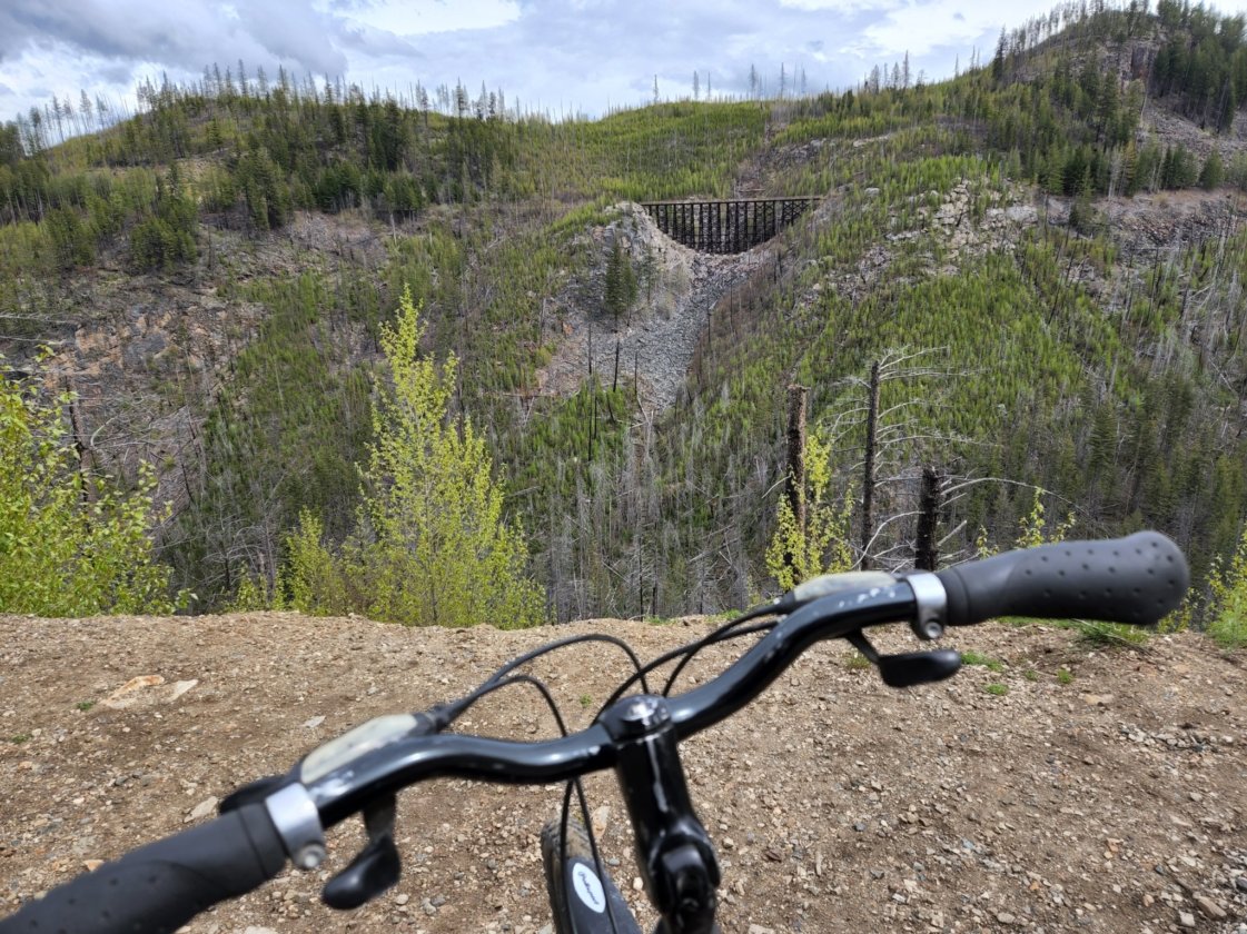 Noticing the damage from the 2003 forest fire