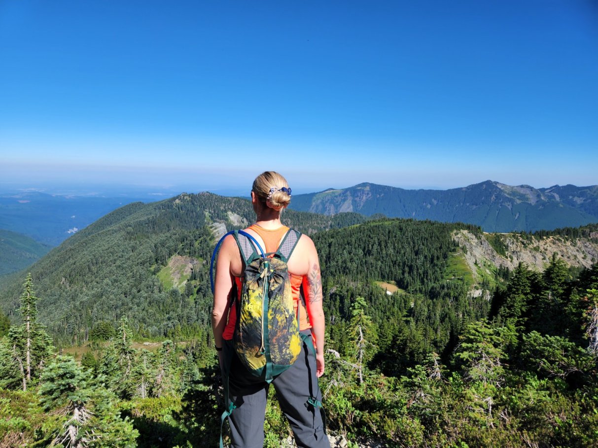 Overlook of the Carbon River Valley 