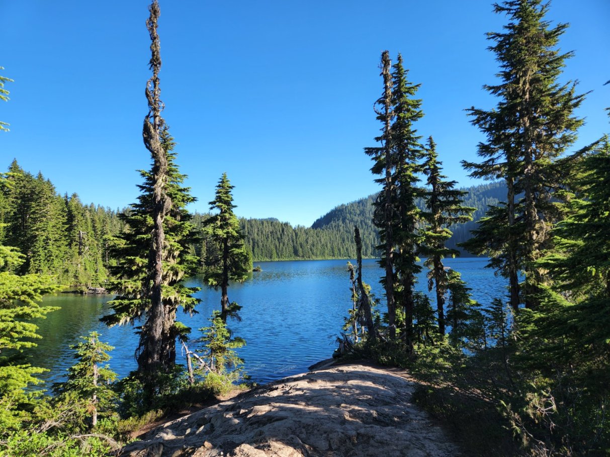 Tolmie Peak trail begins at the north side of Mowich Lake