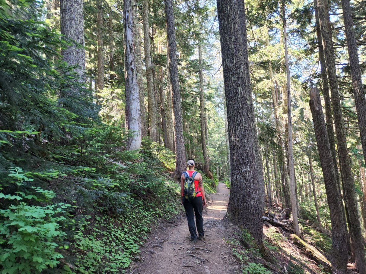 First mile of Tolmie Peak Fire Lookout Trail