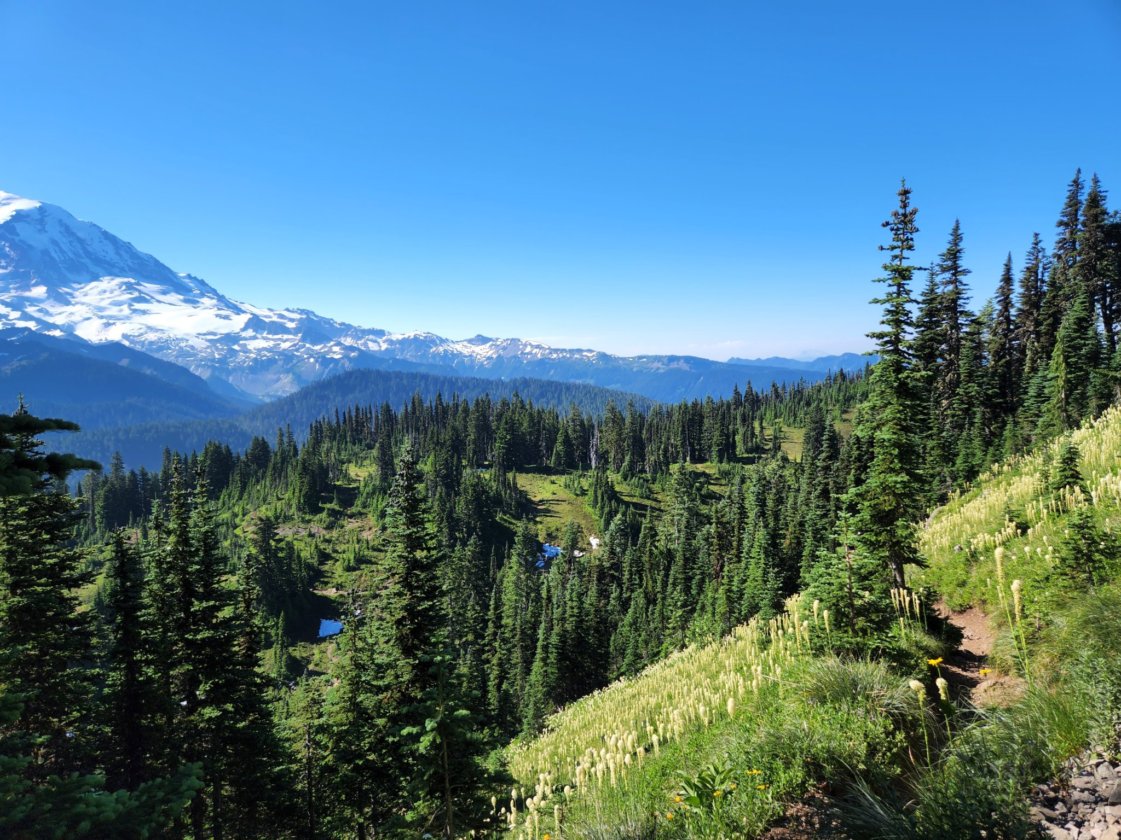 Mt. Rainier and Eunice Lake